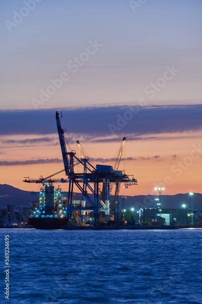 Obraz cranes at the port
