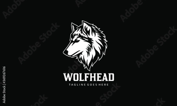 Fototapeta Wolf Head Vector Logo Template on black background