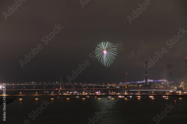 Fototapeta 아름다운 밤하늘의 불꽃놀이