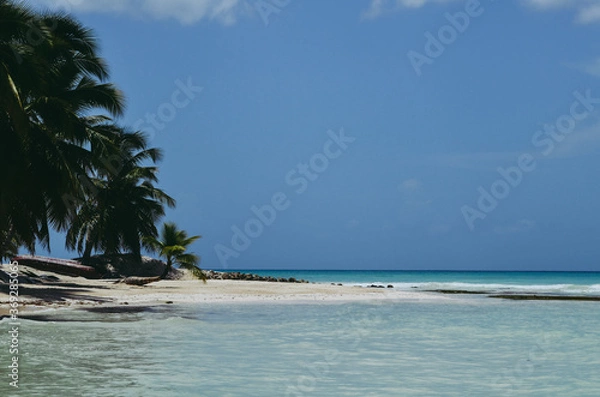 Obraz Caribbean paradise