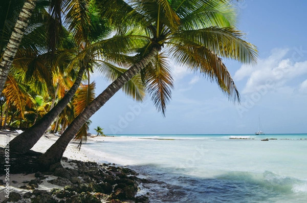 Obraz Caribbean paradise