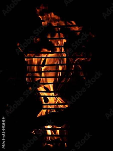 Obraz Iron silhouette