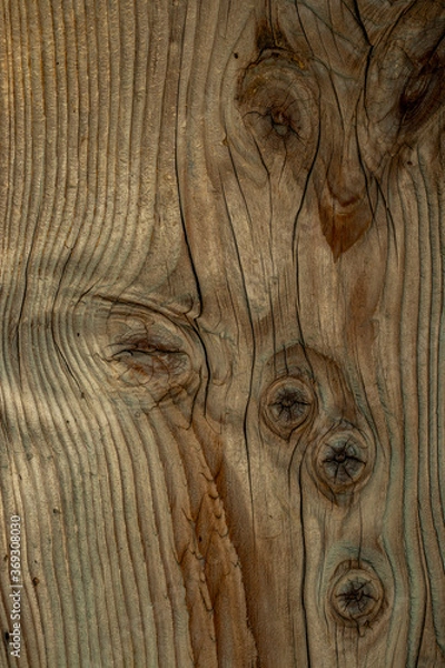 Obraz old wood textured background