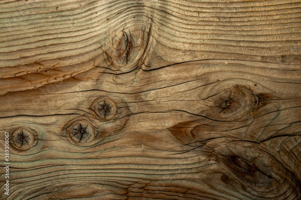 Obraz old wood textured background