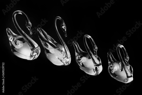Obraz Crystal glass swans figurines on a dark background.