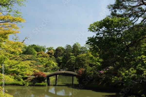 Obraz 京都　桂　20150511