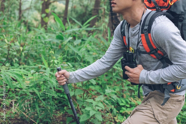 Fototapeta Young man holding a binoculars with backpack walking on a forest path