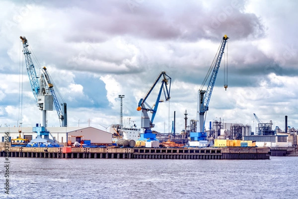 Fototapeta Containers, docks and cranes in the port of hamburg