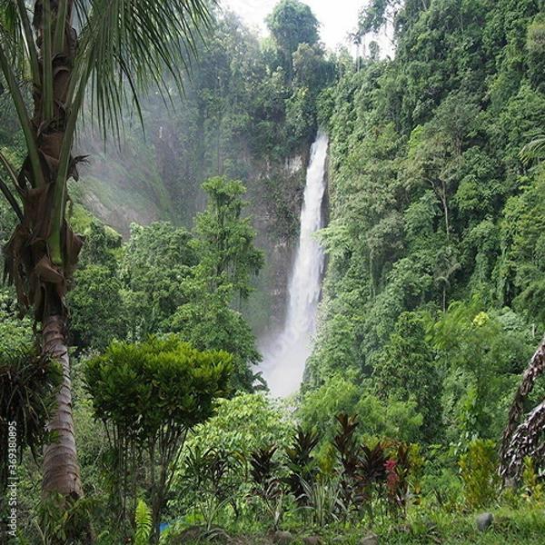 Obraz フィリピンのジェネラルサントスの山の中にある滝の風景