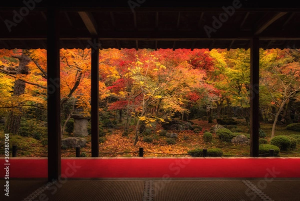 Fototapeta 秋の京都（圓光寺・十牛之庭）