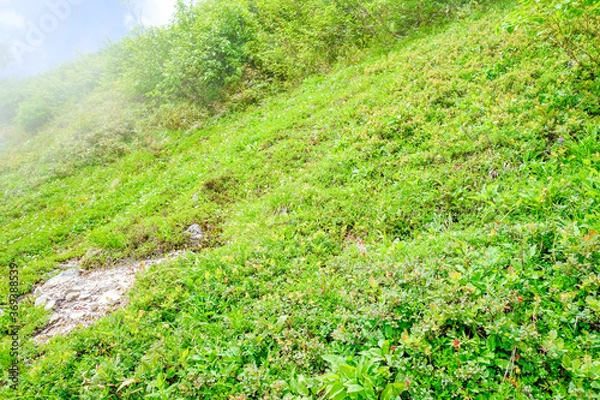 Fototapeta 北アルプス　七倉岳　風景