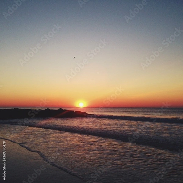 Obraz sunset on the beach