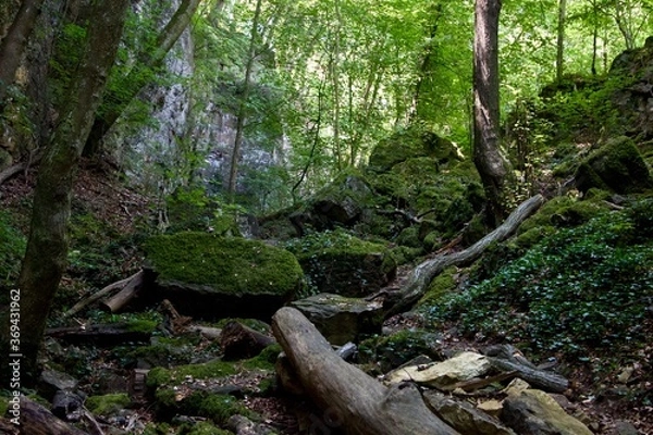 Obraz moss covered rocks