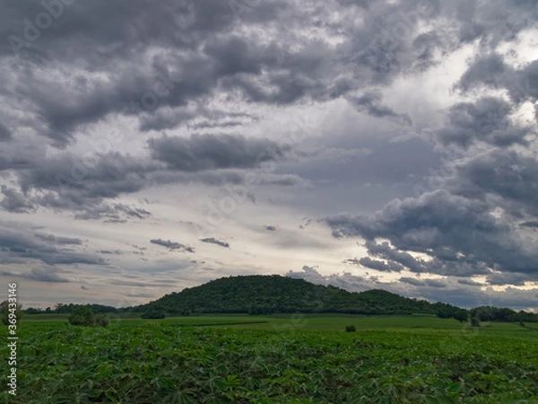 Obraz landscape Corn fields and mountain