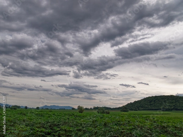 Obraz landscape Corn fields and mountain