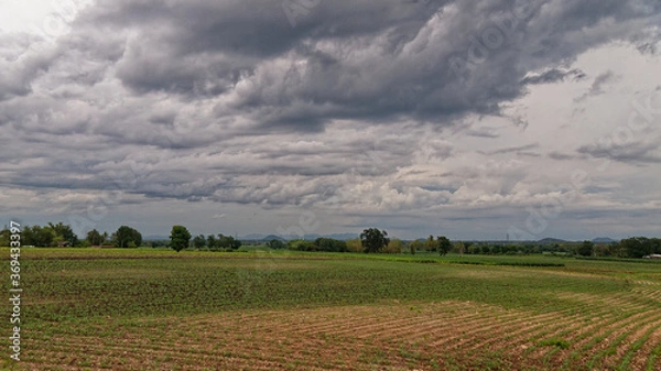 Obraz landscape Corn fields and mountain