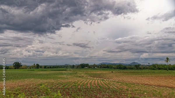 Obraz landscape Corn fields and mountain