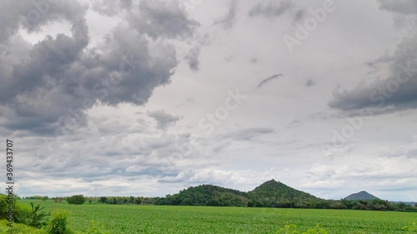 Obraz landscape Corn fields and mountain
