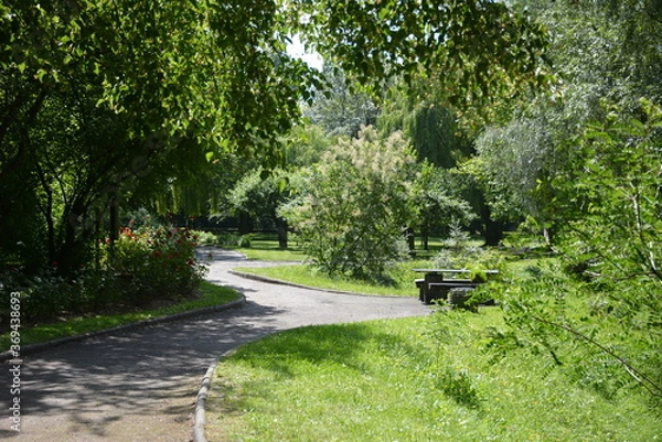 Obraz Aleja różana