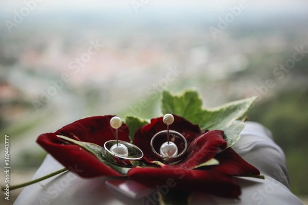 Obraz wedding rings on a flower leaf