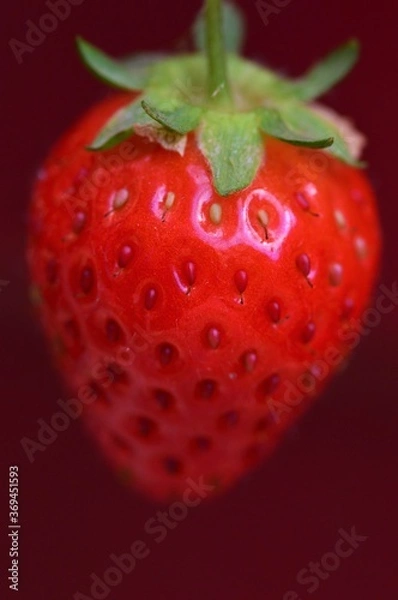 Obraz Strawberry 
