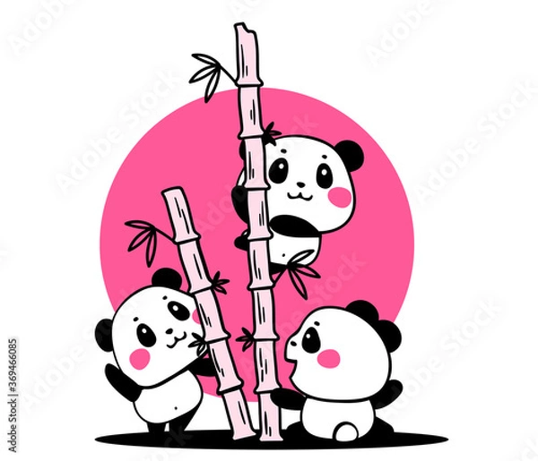 Obraz Vector illustration of lovely cartoon pandas eat bamboo branches on white background. Happy cute pandas.