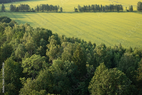 Obraz Harvest fields from above the ground