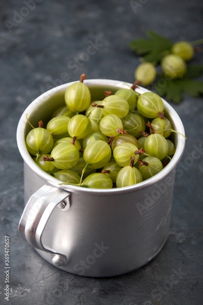 Obraz Gooseberries in an aluminum mug on a gray background
