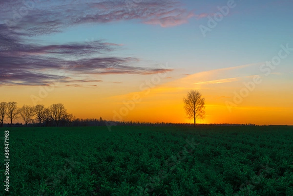 Fototapeta orange sunset over a green field