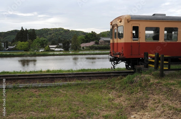 Fototapeta 田んぼと列車