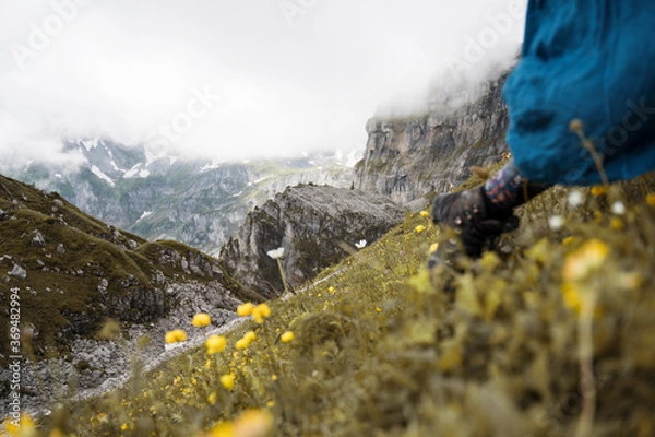 Obraz Running wild in the mountains