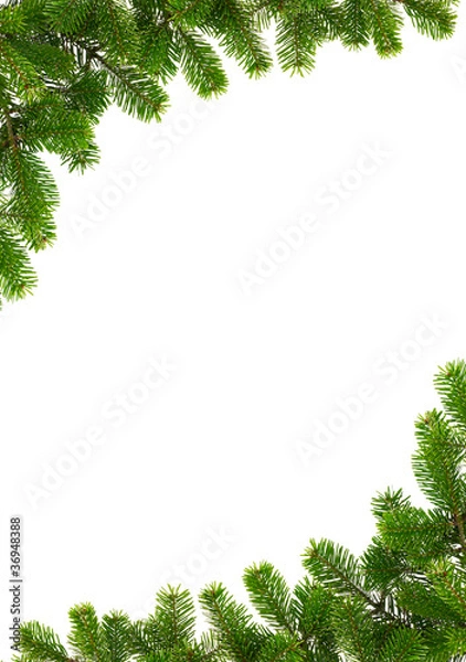 Obraz Rahmen aus Tannenzweigen