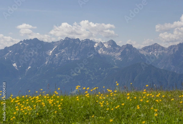 Obraz beautiful nature green mountain summer landscape, background with fields, flowers, mountains and blue skies, Copy space of summer vacation and business travel concept.