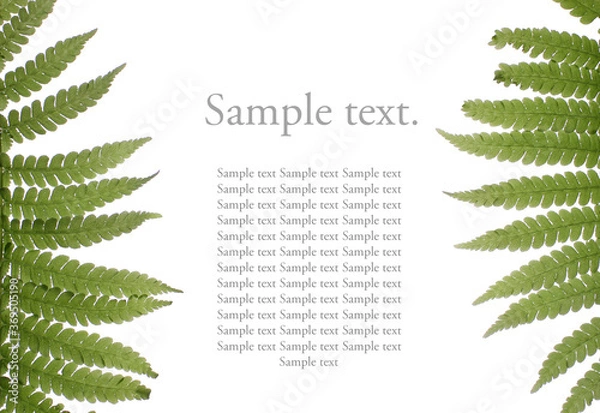 Fototapeta Poster with grass on isolated background for sample text. An article about natural cosmetics.