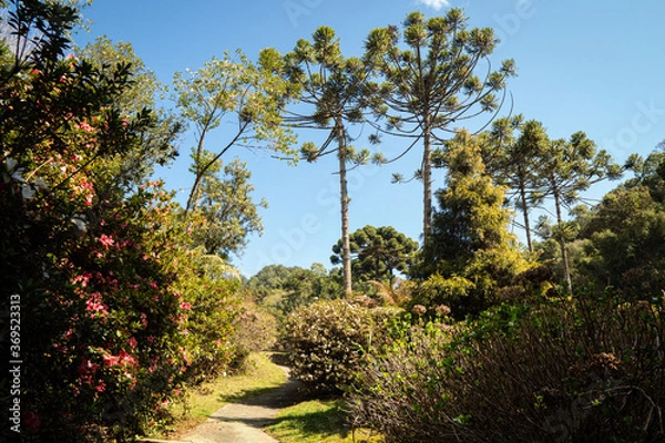 Fototapeta relaxing background