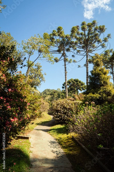 Fototapeta relaxing background