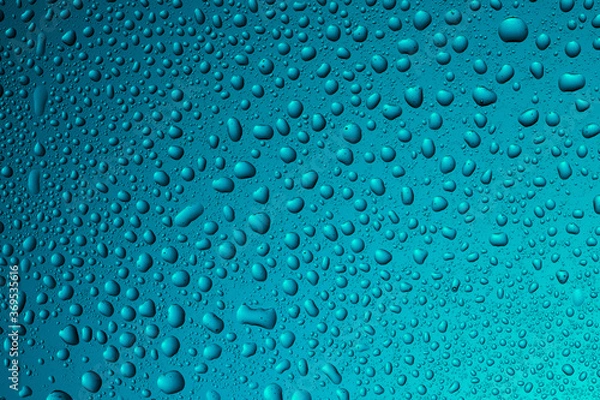 Obraz Close-up of water drops on glass . Abstract background texture.