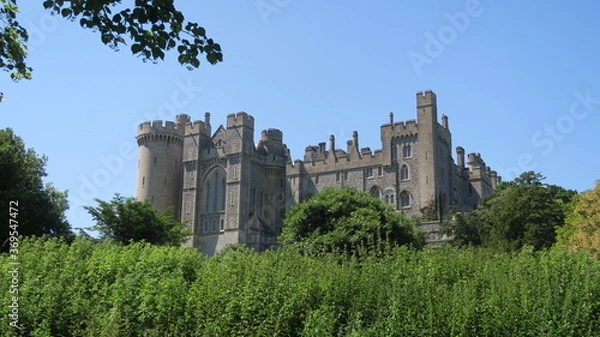 Obraz castle behind forest