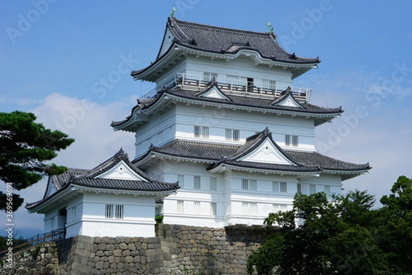 Obraz 青空に白い壁が映える小田原城天守閣