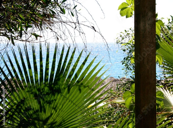 Obraz palm tree in the wind