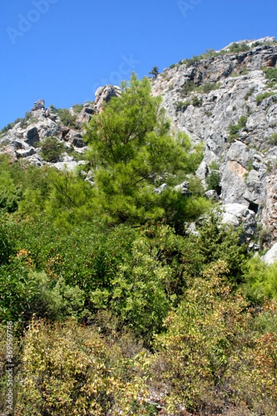 Obraz mountain road in Turkey