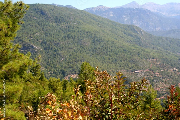 Obraz view of the mountains