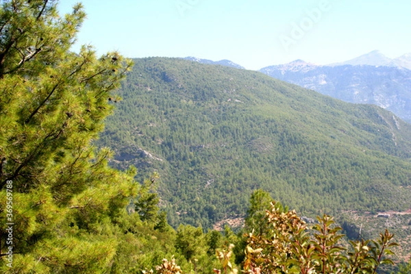 Obraz mountain landscape in the morning