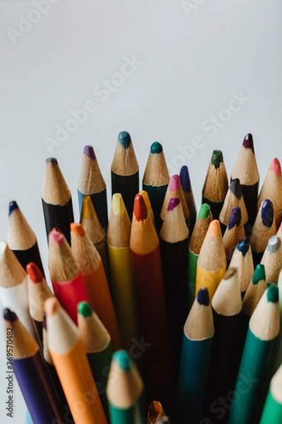 Obraz Colored Pencils