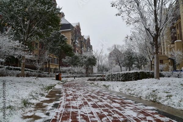 Obraz Path leading inside of the Christmas eve snowy garden with trees covered with blizzard