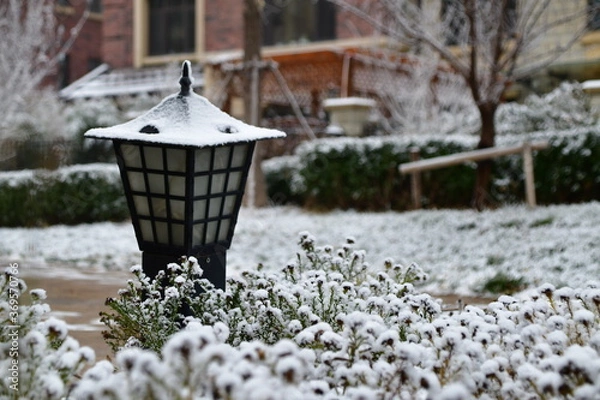 Obraz Garden lantern covered in snow during the day of the Christmas eve
