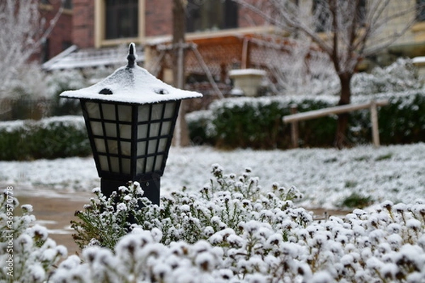 Obraz Christmas postcard of the garden lantern covered in snow during the day of the Christmas eve