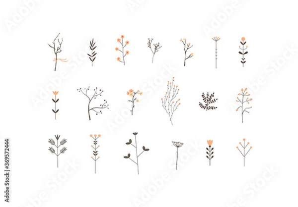 Obraz Zestaw artystyczny gałęzi drzew