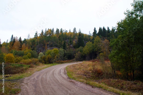 Obraz road in autumn forest