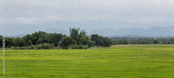 Obraz landscape with trees and blue sky